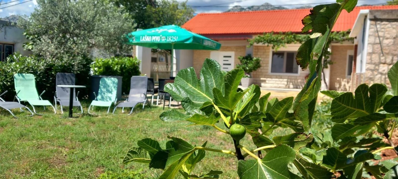 Holiday Home Zeljko,Marija & Jakov Starigrad Paklenica Buitenkant foto